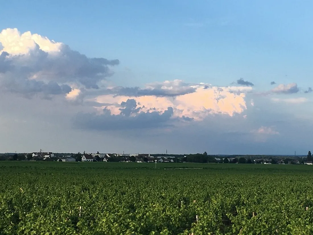 La Côte-d’Or en vigilance jaune orage ce jeudi